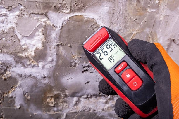 Best Post-Flood Mold Remediation in Osakis, MN