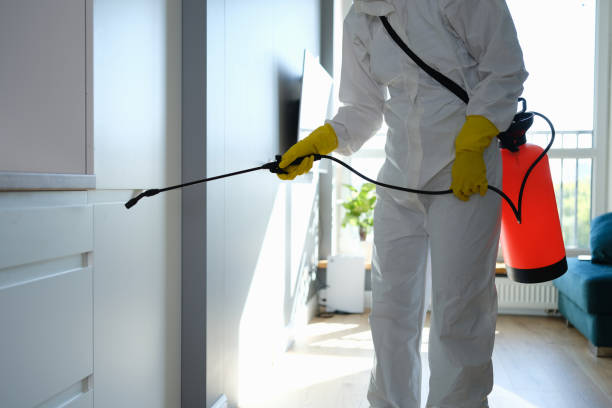 Best HVAC Mold Remediation in Osakis, MN